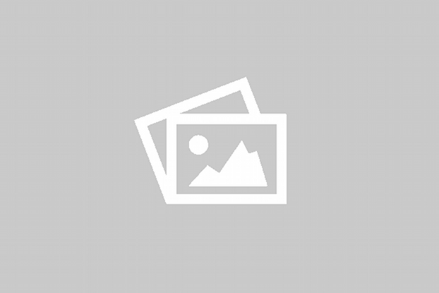 Ortho Pro Profiled With Natural Latex